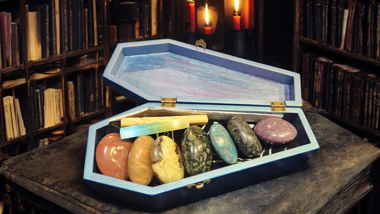 Palm Stone Chakra Collection in Coffin Shadow Box