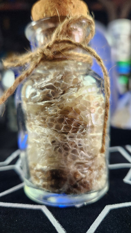 Close up of a bottle of snake skin shed