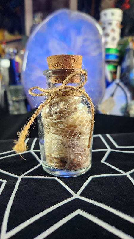 snake shed bottle full view